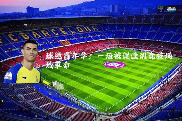 球迷嘉年华：一场被误读的竞技场域革命